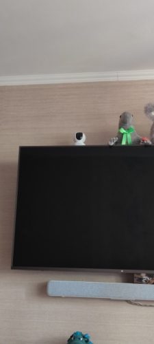 E1 Super HD 3MP Indoor 2.4GHz Wi-Fi Camera photo review